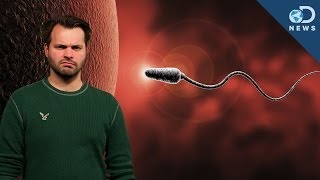 How You're Destroying Your Sperm!