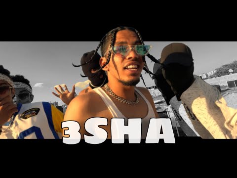 PAAL DABBA - 3SHA | (Official Music video)