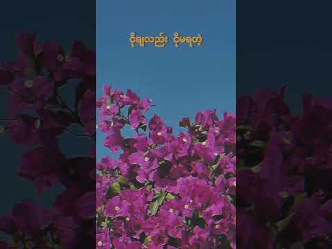 စက္ကူပန်း - Myaing & Ketho  (Official lyrics video)
