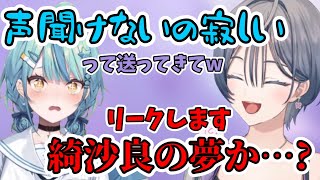 きいさまの声が聞けず寂しくて連絡をしてたらしい某水色の人【綺沙良/珠乃井ナナ/にじさんじ/切り抜き】