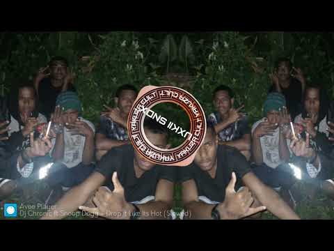DJ CHRONIC ft snoop Dogg/DROP IT LIKE HOT/2K24