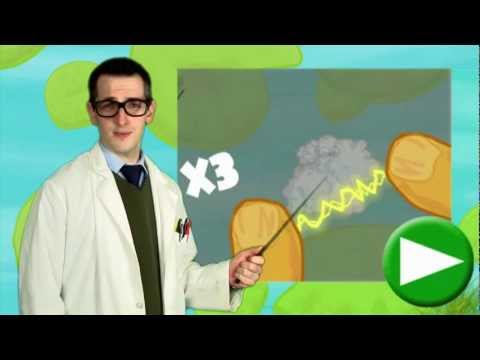 Dont Fry the Frog! - Live Action Trailer