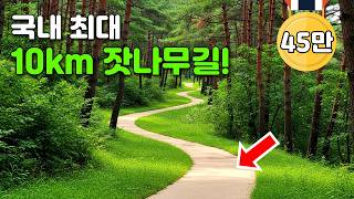 🚇 서울에서 50분! 걷기만 해도 치유되는 10km 트레킹 코스, 여긴 꼭 가보세요. | 당일치기 대중교통 트레킹 여행