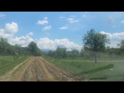 Mehadica 10 ianuarie 2017