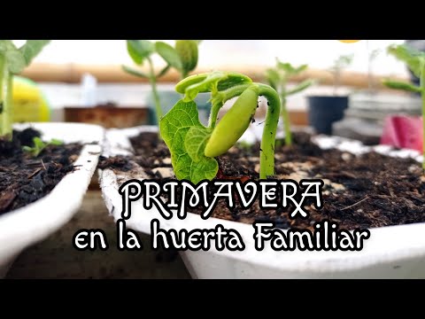 Primavera 2021 en San Gregorio, Uruguay. Explosión de colores y flores