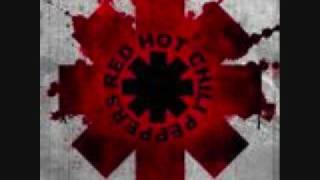 Animal Bar-Red Hot Chili Peppers (lyrics)