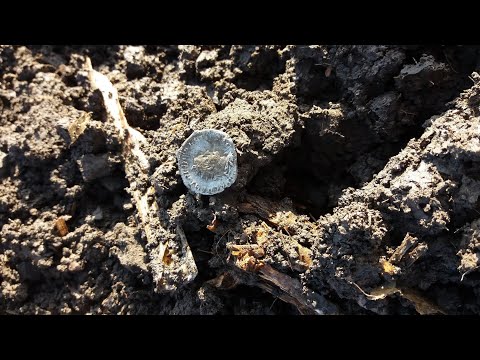 #MenHappyChannel #Коп 👑 КЛАДОИСКАТЕЛЬ 👑 Поиск монет и кладов/Денарий/Рим с новой катушкой Nel Attack