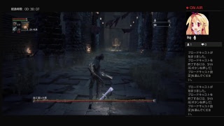 blood borne下手RTA