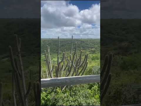 Como é a vista da Serra de Picuí na Paraíba ?
