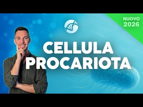 The Prokaryotic Cell | Cell Biology Course 2026