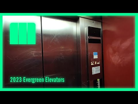 SKETCHY Montgomery Hydraulic Elevator | Lloyd Center | Portland, OR.