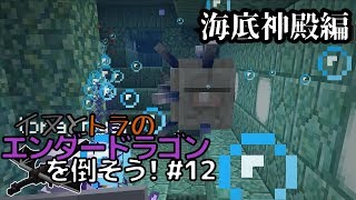 イヌとトラのエンダードラゴンを倒そう！Part.12～海底神殿編～