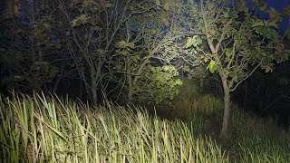 Download lagu Live Misteri‼️Ini Bener' Parah Diluar Kendali, Sosok Wanita Cantik Siluman Ular Bikin Tim Jadi G1laa mp3 Download lagu Live Misteri‼️Ini Bener' Parah Diluar Kendali, Sosok Wanita Cantik Siluman Ular Bikin Tim Jadi G1laa mp3