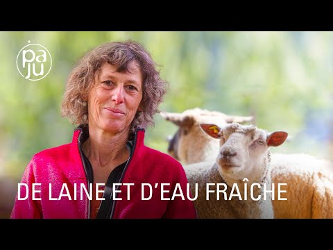 , title : 'Dans son petit paradis, Martine élève des moutons et revalorise la laine locale'