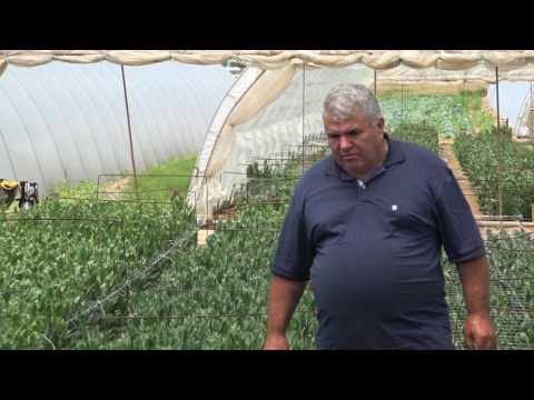 Naša priča ep.96  23.06.2017.