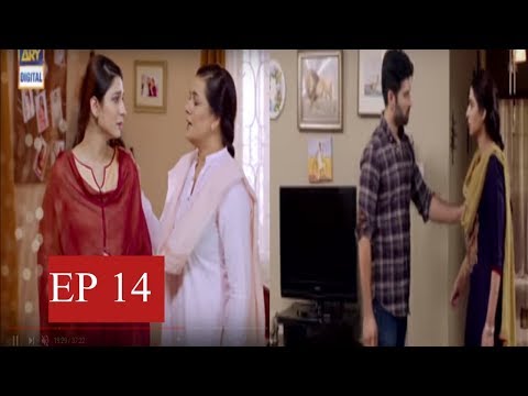 Kaisa Hai Naseeba  | Episode 14 | Ary Digital |Pakistani Darama