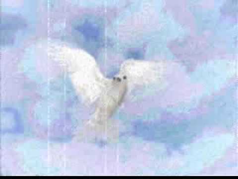 Ofra Haza - My Bird - עפרה חזה - ציפורי