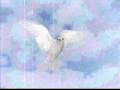 Ofra Haza - My Bird - עפרה חזה - ציפורי 