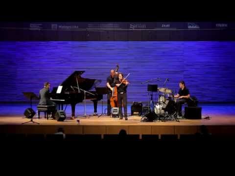 Seifert Competition 2014 (final) - "Turbulent Plover" by Zbigniew Seifert - Bartosz Dworak