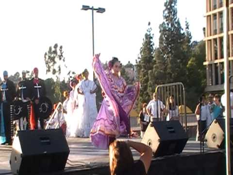 la negra y la culebra