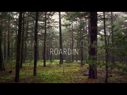 Roardin No One Is Born A Hero - Marcela Bovio