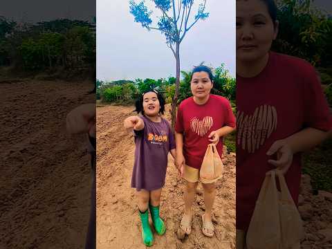 แม่ ดูนั่นอ่ะ..‼️🤣🤣 #funny #cute #ตลก #comedy #พี่เหนือน้องนารา #shorts | Nuea Nara