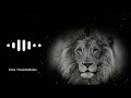 Tiktok Trending Sound Tiktok Lion Roar Sound Tiktok Trending Video