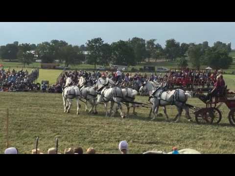 Six horse team, Leola, Pa. Horse Progress Days