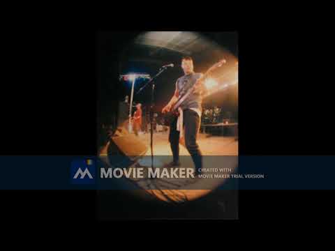 10 Nosotros somos la venganza ANIMALES MUERTOS