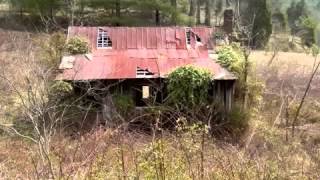 The Feelies - Two Rooms