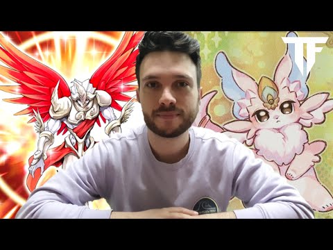 TOP 8 WCQ Regional Rome - Purrely - Deck Profile Yu-Gi-Oh! - Ecleto Mucciacciuoli