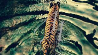 NEEDTOBREATHE - NO EXCUSES