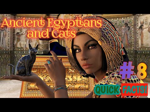 QUICK FACTS #8: Ancient Egyptians and Cats | SJ Media