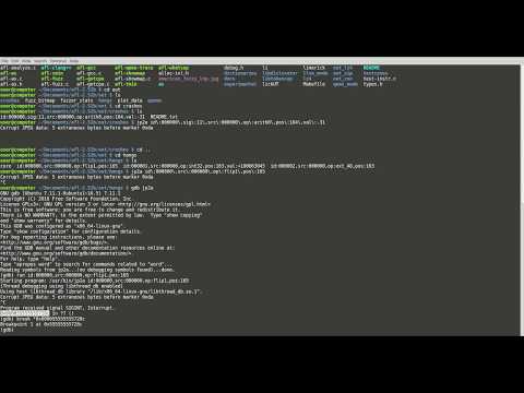 CS453 Fuzzing Presentation
