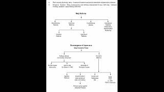 Class 11th Humanities chapter 7 (Paths of Modernization) history 2024-25