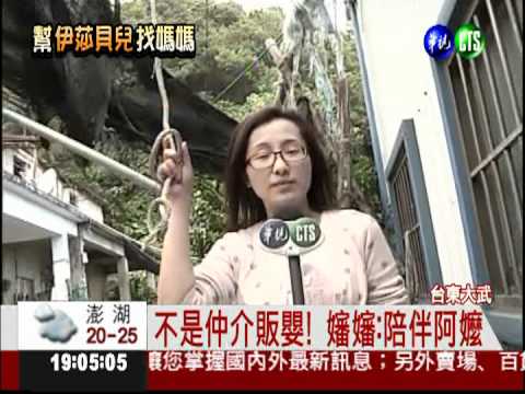 窮到養不起 伊莎貝兒只能送人?