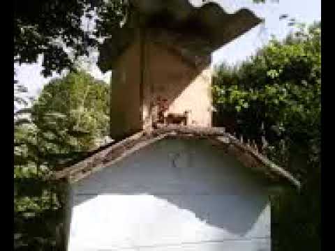 Пчеловодство. Роеловство. Как и где установить ловушку на пасеке перед заселением в улей. Архив.