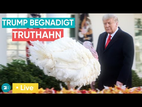 LIVE: Lieferung für Trump! Melania nimmt Weihnachtsbaum fürs Weiße Haus entgegen