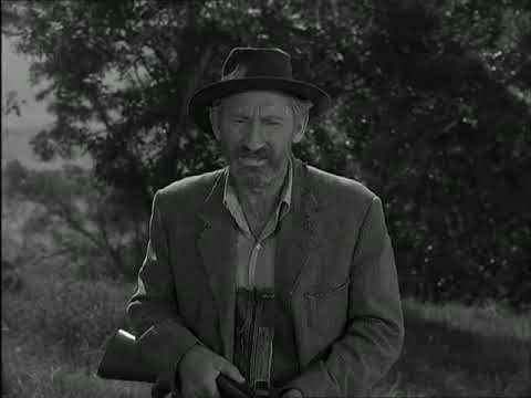 3x19 pt.3 Caccia al procione - Ai Confini Della Realtà (The Twilight Zone)