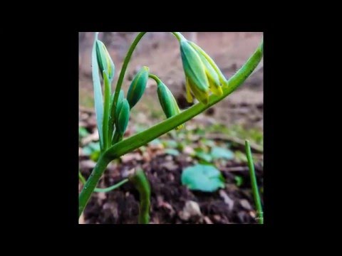 Circuit Piatra Cetii - Muntii Trascaului.