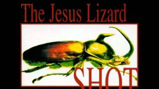 The Jesus Lizard - Too Bad About The Fire