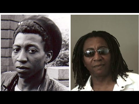 BHoRR View Ray Mondo