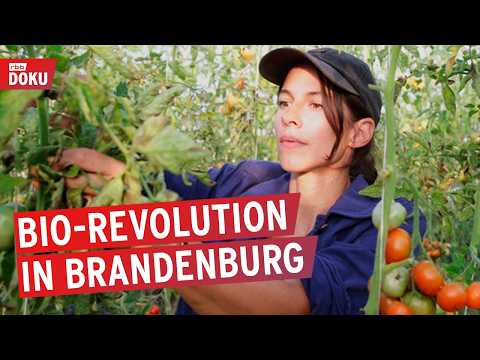 Video Thumbnail: Marias Garten: Warum alle ihr Bio-Gemüse wollen | Doku