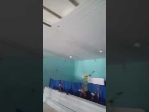 Parte N° 2. Colocación de PVC, Anexo Villa Dos Trece.