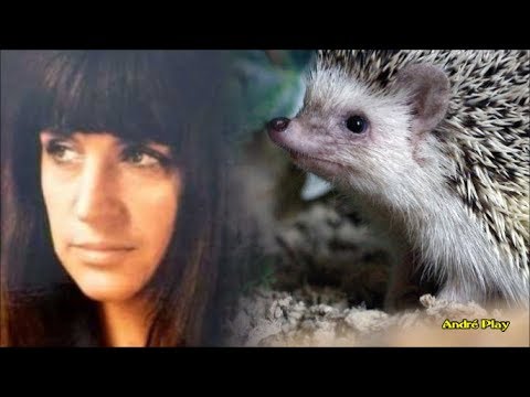 Anne Sylvestre Hérisson