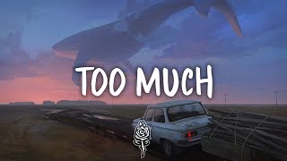 ZAYN - Too Much (Lyrics) ft. Timbaland