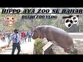 Delhi Zoo Vlog II Hippo aya apne ghar se bahar II Delhi zoo tour II Delhi zoo all animals