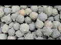 Amfanin Dan Kumasu Gallnut