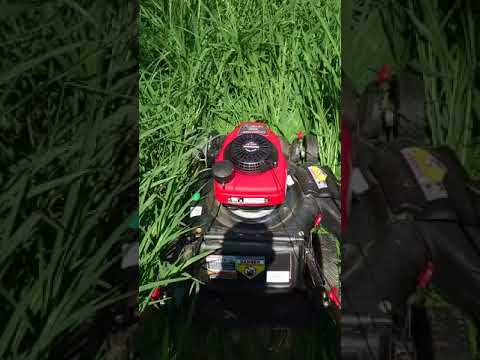 Troy bilt 130XP review Troy bilt