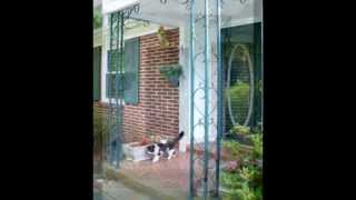 preview picture of video '12824 Richmond Street, Chester VA 23831'